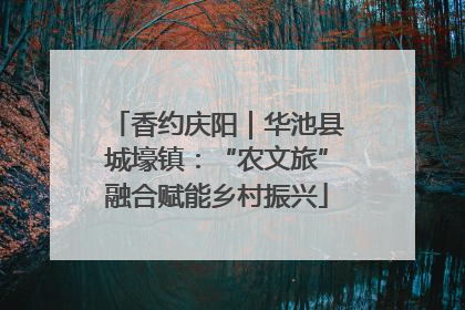 香约庆阳｜华池县城壕镇：“农文旅”融合赋能乡村振兴