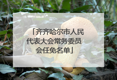 齐齐哈尔市人民代表大会常务委员会任免名单