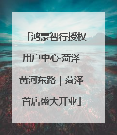 鸿蒙智行授权用户中心·菏泽黄河东路｜菏泽首店盛大开业