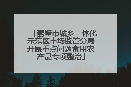 鹤壁市城乡一体化示范区市场监管分局开展重点问题食用农产品专项整治