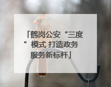鹤岗公安“三度”模式 打造政务服务新标杆