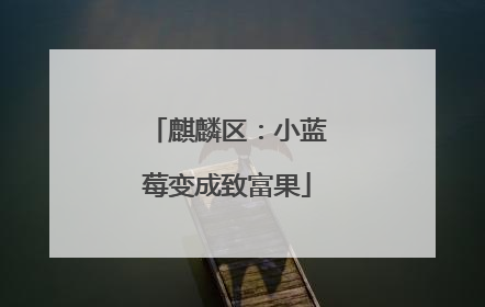麒麟区：小蓝莓变成致富果