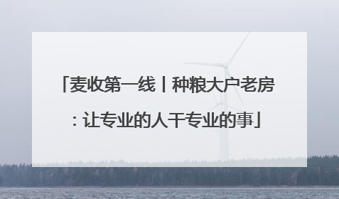 麦收第一线丨种粮大户老房：让专业的人干专业的事