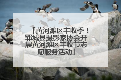 黄河滩区丰收季！郓城县摄影家协会开展黄河滩区丰收节志愿服务活动