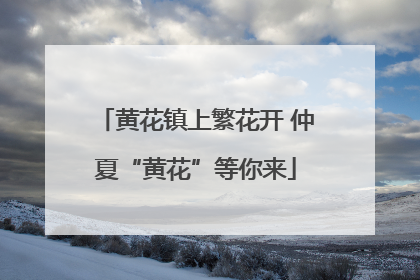 黄花镇上繁花开 仲夏“黄花”等你来