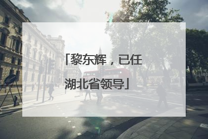 黎东辉，已任湖北省领导