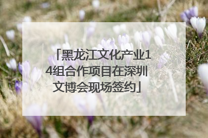 黑龙江文化产业14组合作项目在深圳文博会现场签约