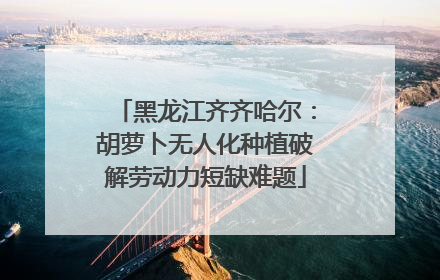 黑龙江齐齐哈尔：胡萝卜无人化种植破解劳动力短缺难题