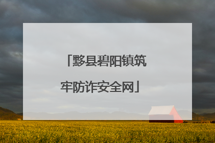 黟县碧阳镇筑牢防诈安全网