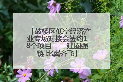 鼓楼区低空经济产业专场对接会签约18个项目——建圈强链 比翼齐飞
