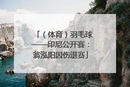 （体育）羽毛球——印尼公开赛：翁泓阳因伤退赛