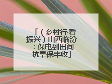 （乡村行·看振兴）山西临汾：保电到田间 抗旱保丰收