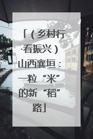 （乡村行·看振兴）山西襄垣：一粒“米”的新“稻”路