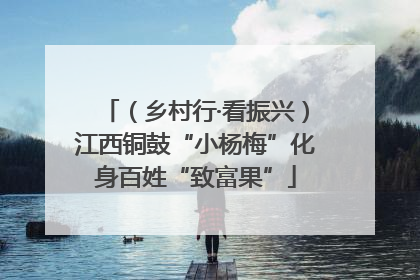 （乡村行·看振兴）江西铜鼓“小杨梅”化身百姓“致富果”