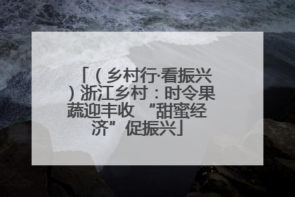 （乡村行·看振兴）浙江乡村：时令果蔬迎丰收 “甜蜜经济”促振兴