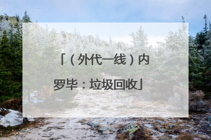 （外代一线）内罗毕：垃圾回收