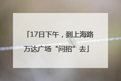17日下午，到上海路万达广场“问招”去
