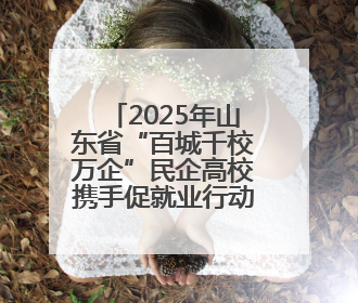 2025年山东省“百城千校万企”民企高校携手促就业行动暨潍坊市职教活动周启动