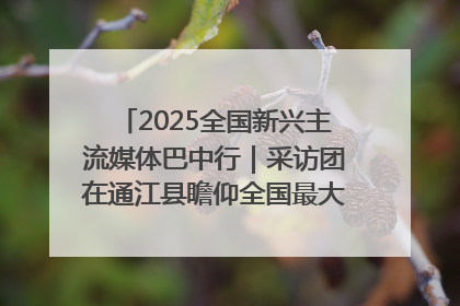 2025全国新兴主流媒体巴中行｜采访团在通江县瞻仰全国最大红军烈士陵园