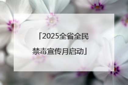 2025全省全民禁毒宣传月启动
