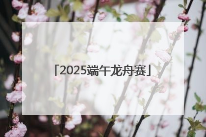 2025端午龙舟赛
