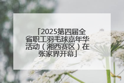 2025第四届全省职工羽毛球嘉年华活动（湘西赛区）在张家界开幕