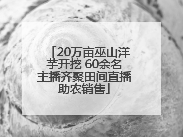 20万亩巫山洋芋开挖 60余名主播齐聚田间直播助农销售