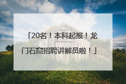 20名！本科起报！龙门石窟招聘讲解员啦！