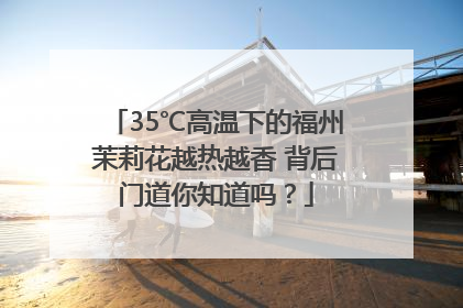 35℃高温下的福州茉莉花越热越香 背后门道你知道吗？
