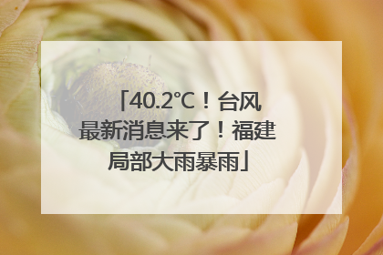 40.2℃！台风最新消息来了！福建局部大雨暴雨