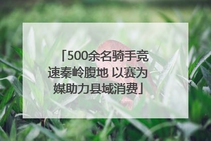 500余名骑手竞速秦岭腹地 以赛为媒助力县域消费