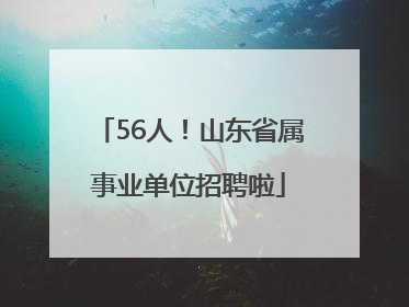 56人！山东省属事业单位招聘啦