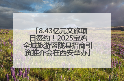 8.43亿元文旅项目签约！2025宝鸡全域旅游暨陇县招商引资推介会在西安举办