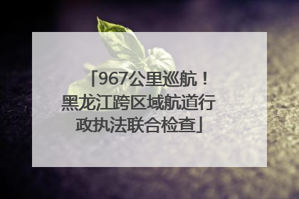 967公里巡航！黑龙江跨区域航道行政执法联合检查