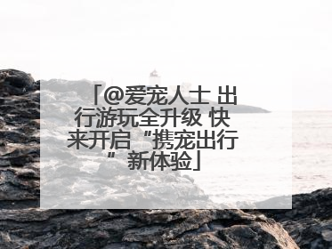 @爱宠人士 出行游玩全升级 快来开启“携宠出行”新体验