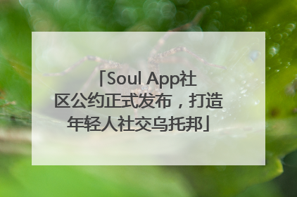 Soul App社区公约正式发布，打造年轻人社交乌托邦
