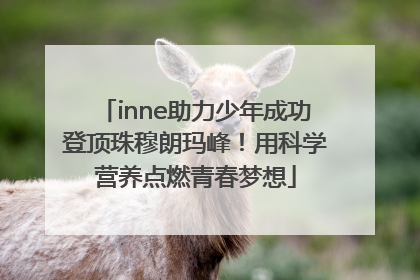 inne助力少年成功登顶珠穆朗玛峰！用科学营养点燃青春梦想